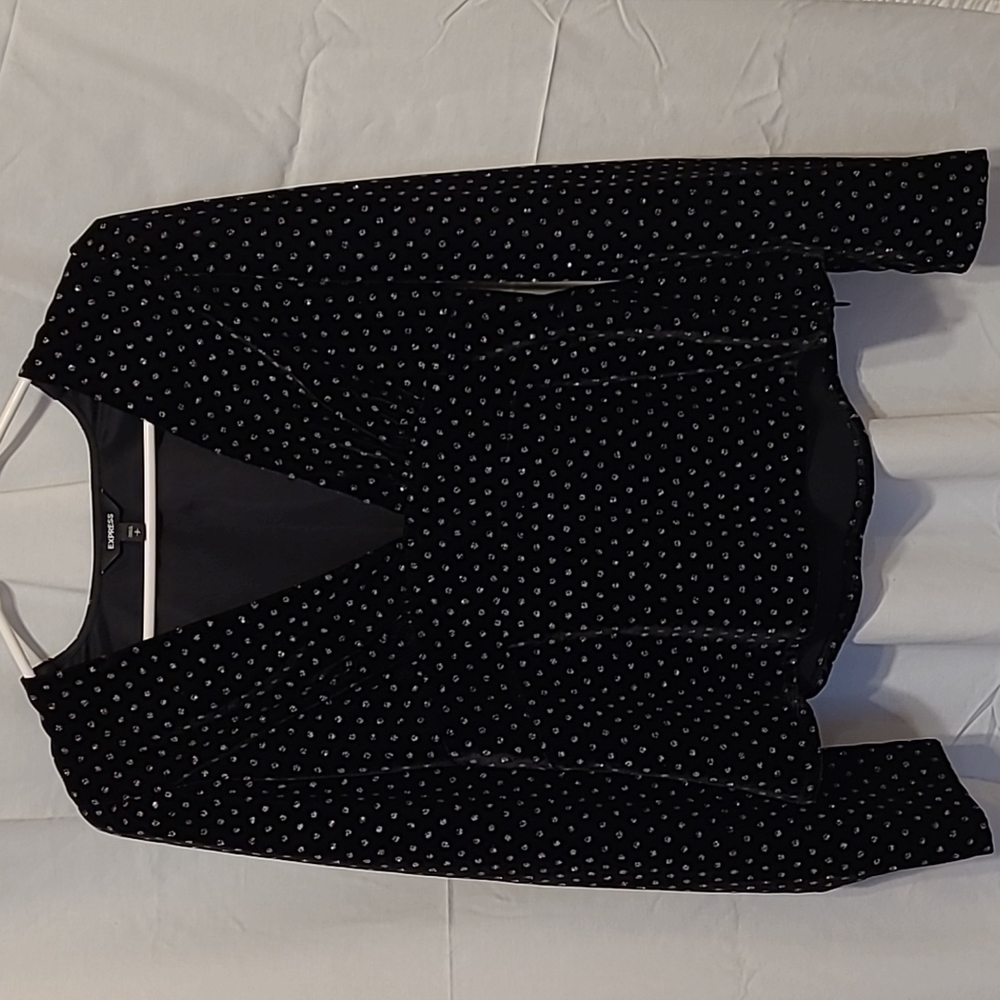 Express Sparkle Velvet Top